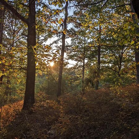 Loblolly Pines Adventure Cabin 3 - King يوريكا سبرينغز المظهر الخارجي الصورة