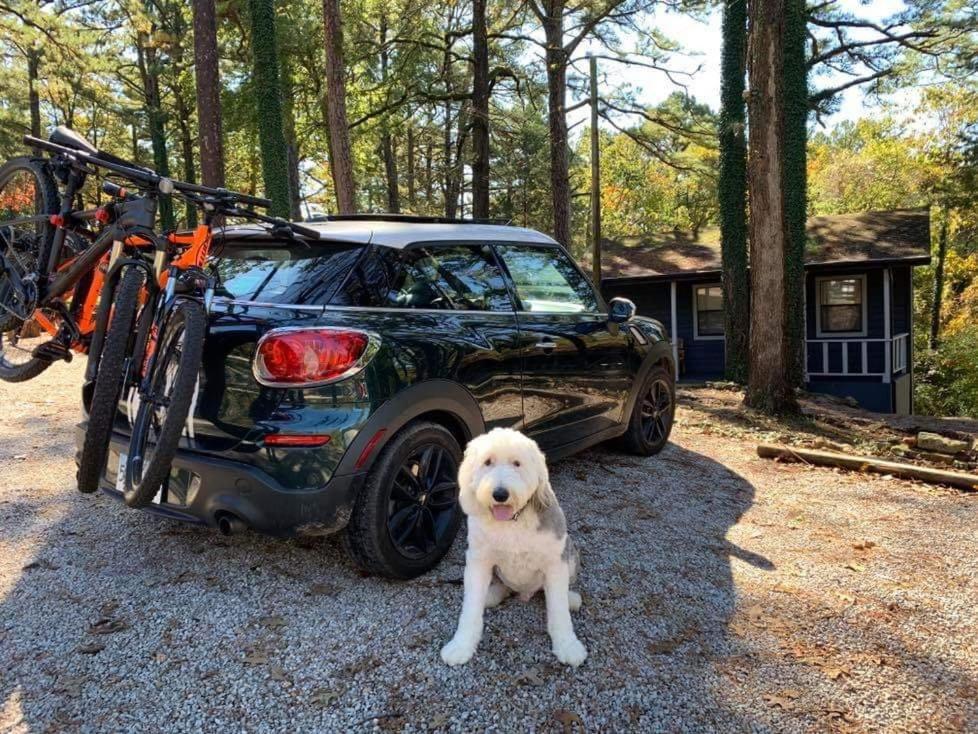 Loblolly Pines Adventure Cabin 3 - King يوريكا سبرينغز المظهر الخارجي الصورة